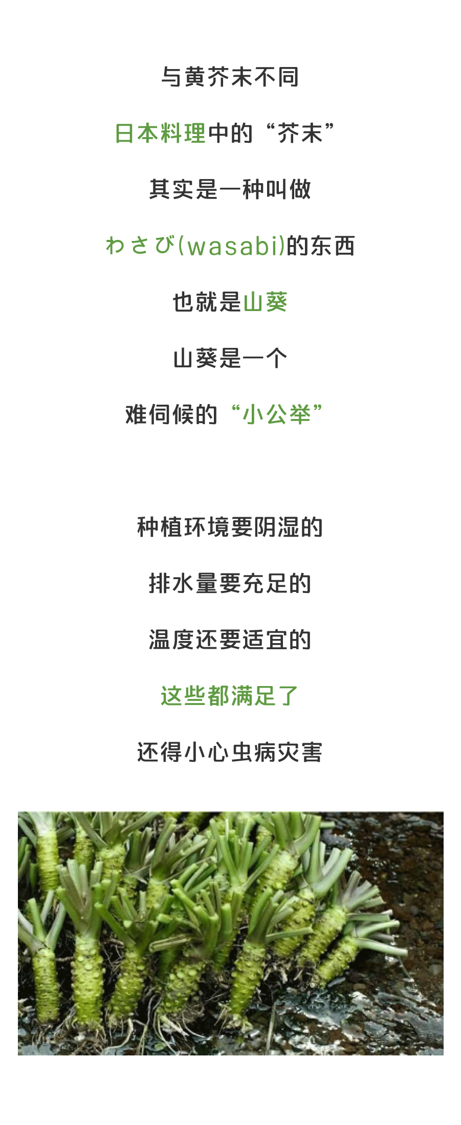 华体会竞猜