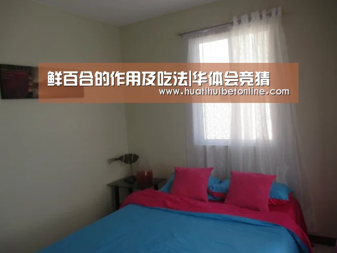 华体会直播